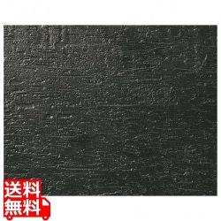 ブッフェウォーマー雅 1/2サイズ用 平長角皿 漆黒(しっこく) 写真1