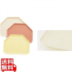 キャンブロ トラペゾイドカムトレー 1121TR(101)A/P 写真1