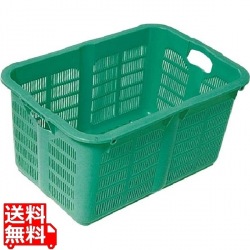 リス プラスケット No.800 グリーン 写真1