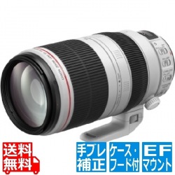 EF100-400mm F4.5-5.6L IS II USM CanonEFマウント交換レンズ 写真1