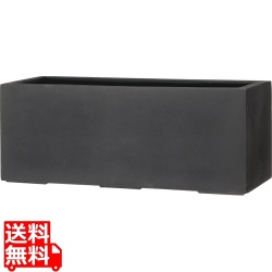 ブラックアイロンライト BL キンロス1000 写真1