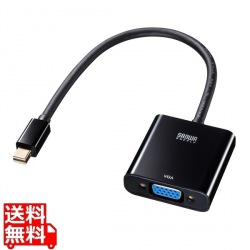 Mini DisplayPort-VGAI変換アダプタ 写真1
