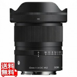 12/1.4 DC コンテンポラリー ソニーE 写真1