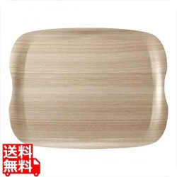 アーストレイ 中 写真1