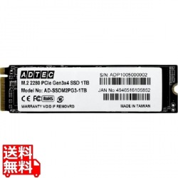 SSD M.2 NVMe PCIe Gen3x4 (2280) 1TB 写真1