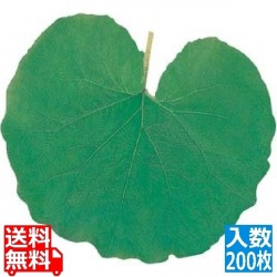 型抜きクリアシート(200枚入)65365 ふき 写真1