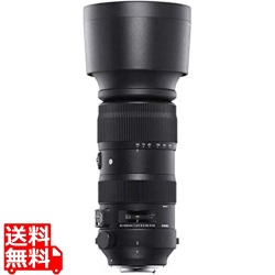 60-600mm F4.5-6.3 DG DN OS ソニーE 写真1