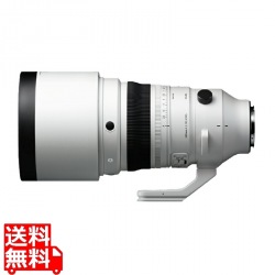 200/2 DG OS スポーツ ソニーE 写真1