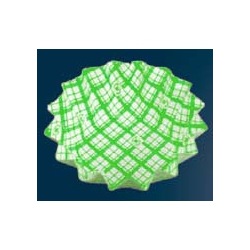 ココ・ケース(500枚入)丸型 ひまわり 小 緑 写真1