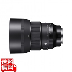 85/1.4 DG DN(A) ソニーE 写真1