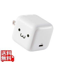 USB Power Delivery 65W AC充電器(C×1) 写真1