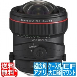 TS-E17mm F4L 写真1