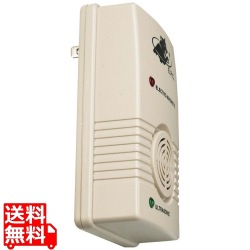 809708 写真1