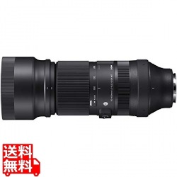 100-400/5-6.3 DG DN OS ソニーE 写真1