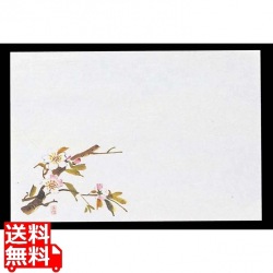 四季紙 千寿(100枚入)M30-205 桜 写真1