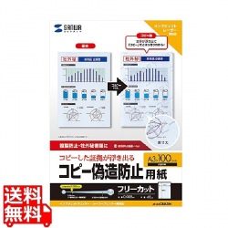 マルチタイプコピー偽造防止用紙(A3) 写真1