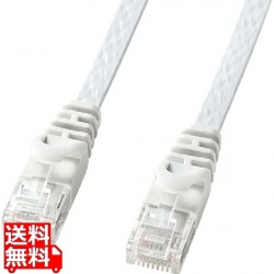 カテゴリ6フラットLANケーブル 写真1