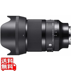 50mm F1.4 DG DN ソニーE 写真1