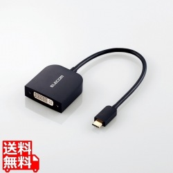 Type-C映像変換アダプタ/TypeC-DVI/ブラック 写真1