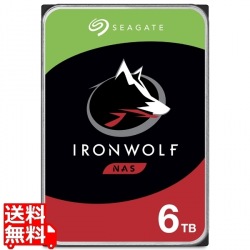 Guardian IronWolfシリーズ 3.5インチ内蔵HDD 6TB SATA6.0Gb/s 5400rpm 256MB 写真1