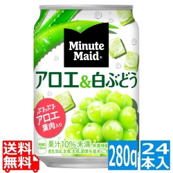 ミニッツメイドアロエ&白ぶどう 280g缶 (24本入) 写真1