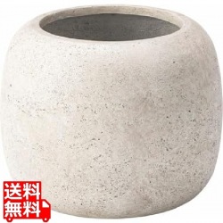 グリーンベース アイボリー 写真1