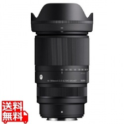 16-300/3.5-6.7DCOS(C)フジX 写真1