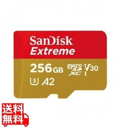 サンディスク エクストリーム microSDXC UHS-Iカード 256GB 写真1