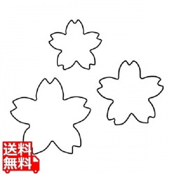 生抜 3PC 深桜 写真1