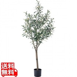 フェイクグリーン オリ-ブ 写真1
