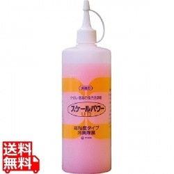 スケールパワー 写真1