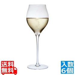 レーマン ミランダ チューリップ シャンパーニュ 20206 250cc(6個入) 写真1