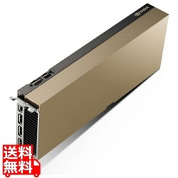 NVIDIA L40S 写真1