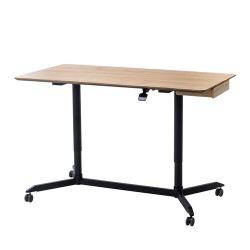 ガス昇降ミーティングデスク 写真1