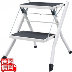 アシスタ ステップ台 写真1