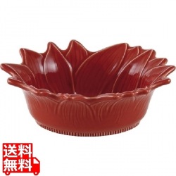 アポーリア サラダボール 22cm チェリー 写真1