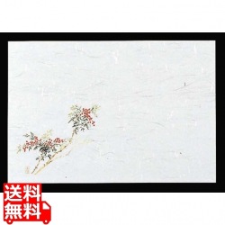 四季紙 千寿(100枚入)M30-216 南天 写真1