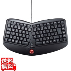 エルゴノミクスキーボード 写真1