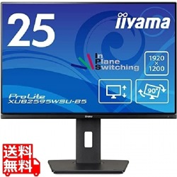 液晶ディスプレイ 25型/1920×1200/D-sub、HDMI、DisplayPort/ブラック/スピーカー：あり/IPSパネル/昇降/回転 写真1