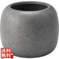 グリーンベース グレー 写真1