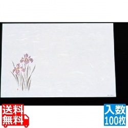 尺三 懐石まっと 抗菌遠赤和紙(100枚入)WS-11 あやめ 写真1