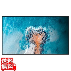 【法人向けREGZA】43V型4K液晶レグザ 輝度500cd 24時間連続稼働 傾斜設置対応 ヘイズ値25% 3年長期保証 写真1