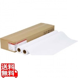 プレミアム普通紙 80g/m2 24インチ 610mm×50m 2本/箱 LFM-PPP/24/80 写真1