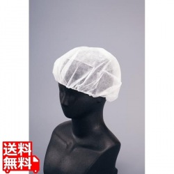 ヘアーネット キャッピー T-F2A 100入 写真1