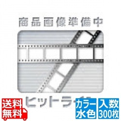 会席紙(300枚入)M30-106 花紋 水色 写真1