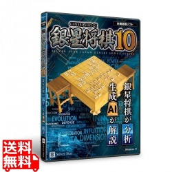 銀星将棋10 写真1