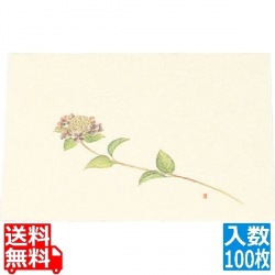 尺三 懐石まっと クリーム ( 100枚入 ) WSS-6 あじさい 写真1