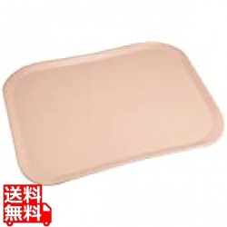 キャンブロ センチュリーカムトレー 1520C(106)ライトピーチ 写真1