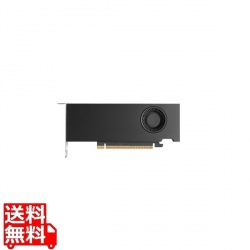 NVIDIA RTX PRO 2000 Blackwell (LP) Retail 写真1