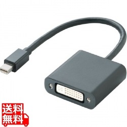 Mini DisplayPort-DVI変換アダプタ 写真1
